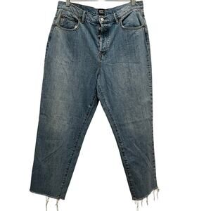 URBAN OUTFITTERS BDG Hi-Rise Light Wash Jeans Sz 33 Button Fly Slim Straight